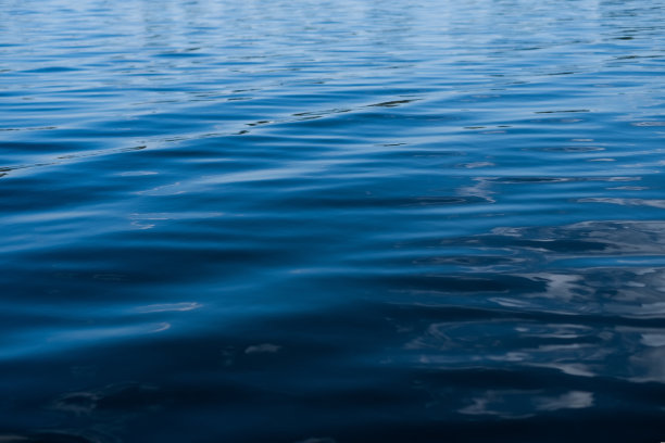 2020年流行色图片素材ID：324707280