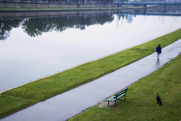 一个带狗的女人。图片下载