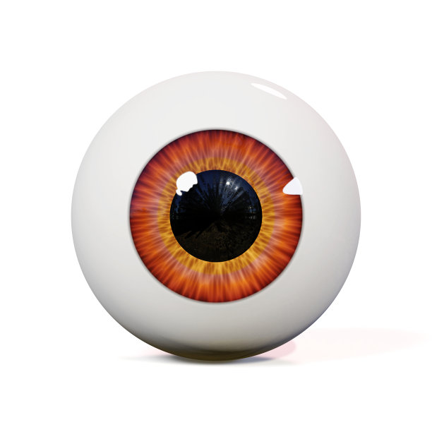 人眼球与棕色虹膜分离与阴影在白色背景(3d渲染)图片下载