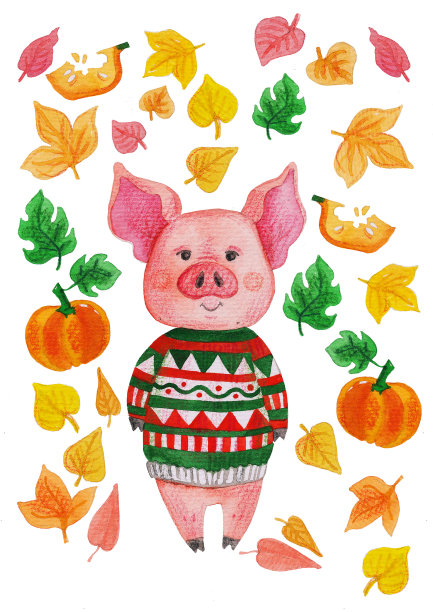 穿夹克戴帽子的猪。秋叶和猪。水彩插图与动物图片下载