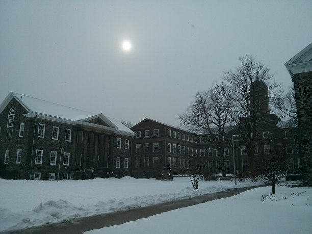 雾的太阳图片下载