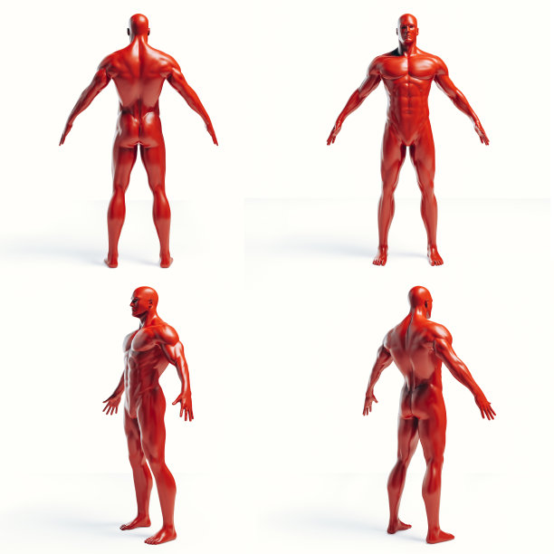 三维人体渲染图片下载