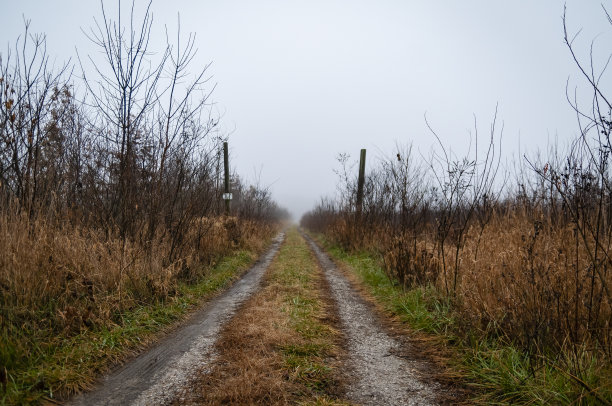 死胡同图片下载