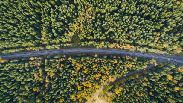 汽车在路上的鸟瞰图。秋天的乡村景观。图片下载