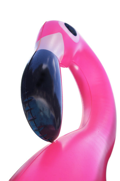 充气粉红色的火烈鸟图片下载