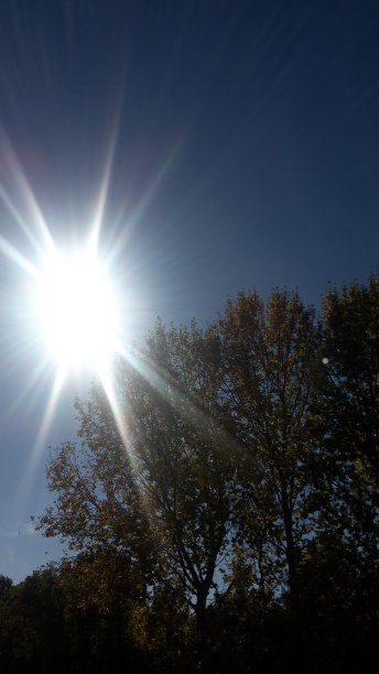 秋天的太阳图片下载