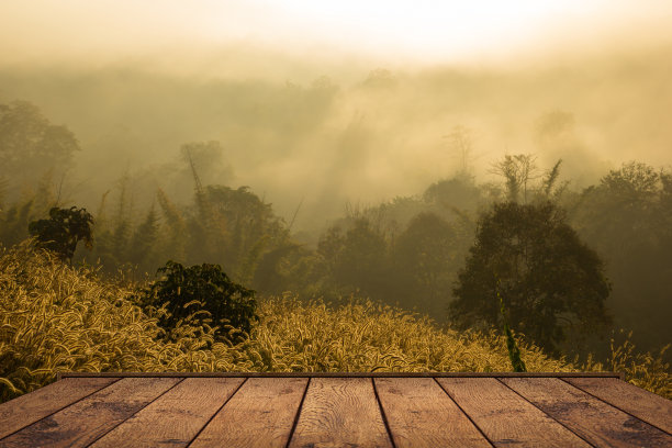 草地，前景木地板图片下载