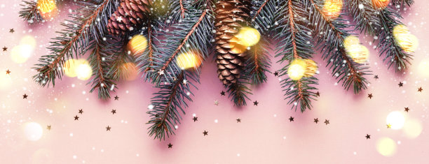 圣诞节日的松柏与圆锥体和散焦灯的边界图片下载