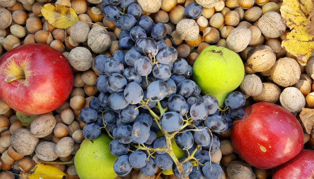各种秋季水果俯视图图像素材图片