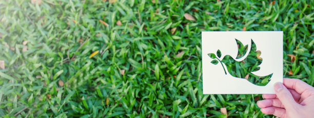 在绿草上剪出鸟的标志(鸽子，鸽子)。和平的标志和符号图片下载