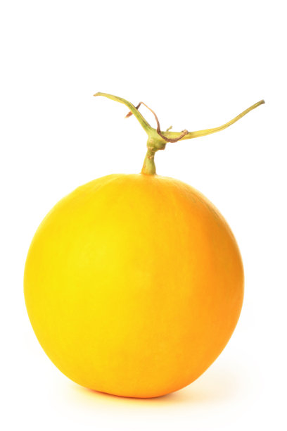 哈密瓜黄色孤立在白色的背景图片下载