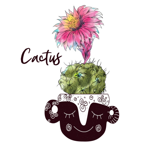 水彩仙人掌孤立的白色背景图片下载