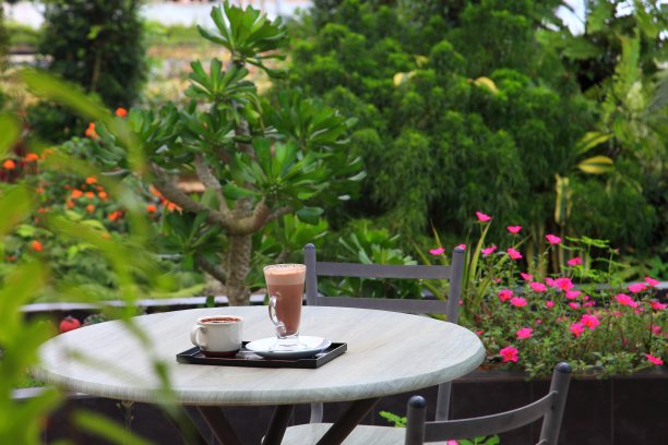 热巧克力和茶在复古的木桌在户外咖啡馆花园图片下载