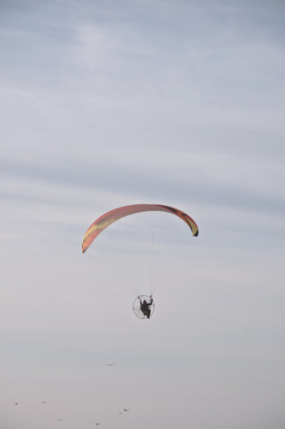 在一个多云的夏天，一个人驾驶着一个彩色的滑翔伞(又名PPC或机动降落伞)图片下载