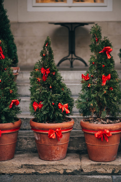 时尚的圣诞装饰，绿色的圣诞树与红色的蝴蝶结和装饰品在欧洲城市街道。节日创意装饰在城市中心，冬季假期。花盆里的圣诞树图片下载