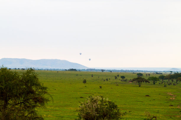 塞伦盖蒂国家公园，坦桑尼亚国家公园，位于塞伦盖蒂生态系统的马拉和西米尤地区图片下载