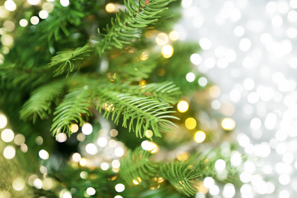 圣诞树图片下载