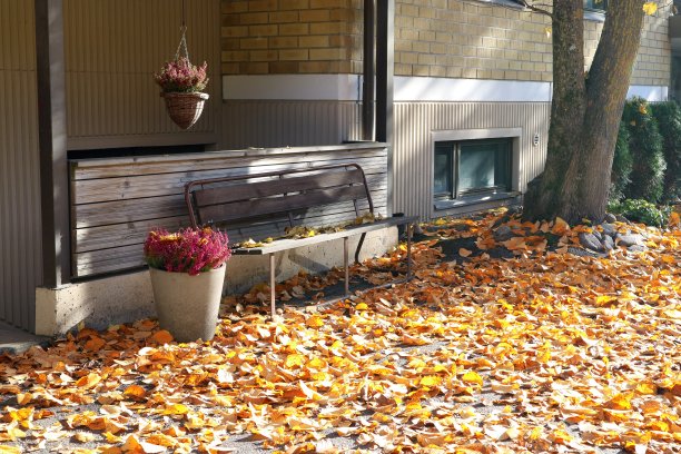 秋天，长凳被落叶和花篮环绕。图片下载