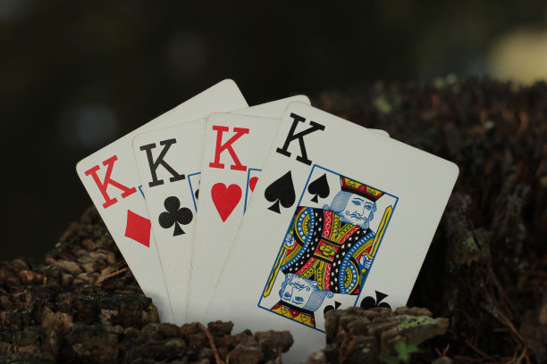 四个同类的国王图片下载