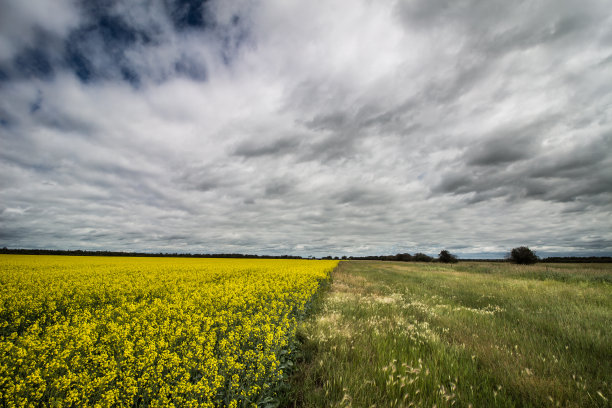 农田上空的云朵图片下载