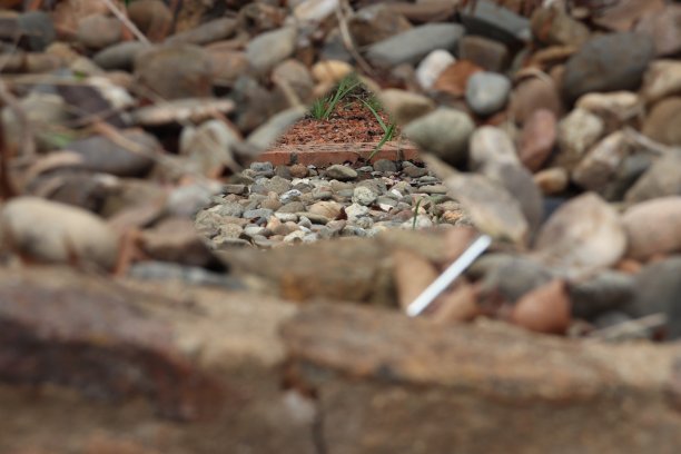 岩石反射图片下载