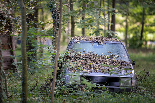 废弃的汽车图片下载