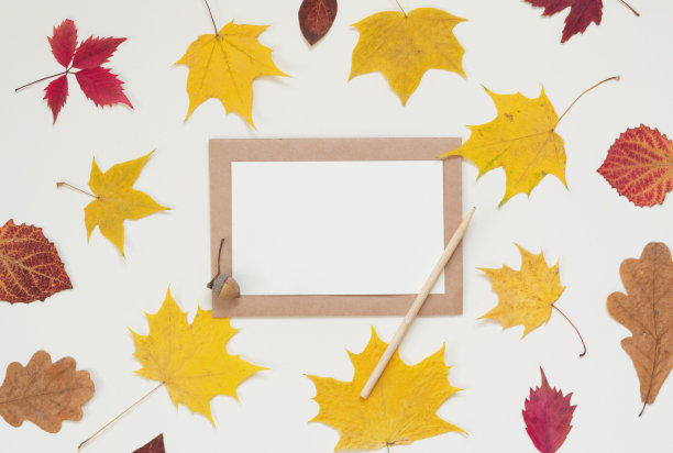 秋天的成分图片下载