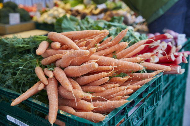 胡萝卜图片下载