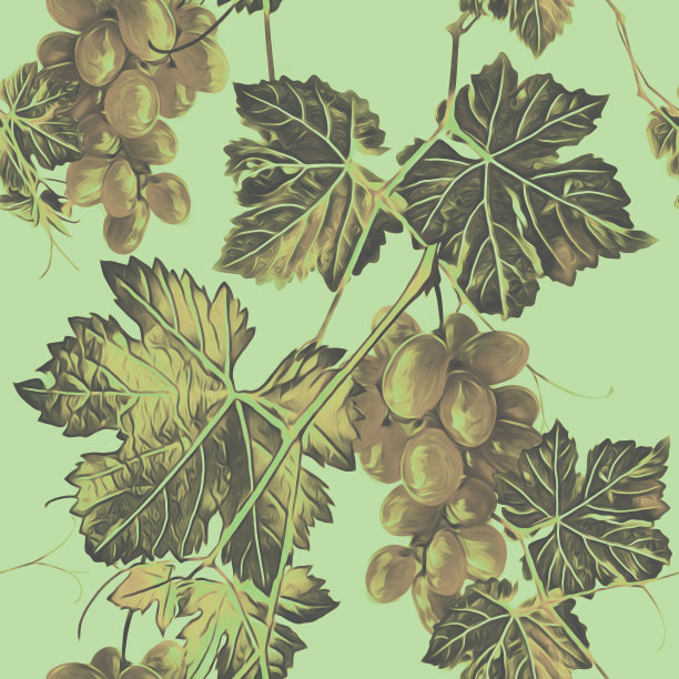 葡萄无缝模式。图片下载