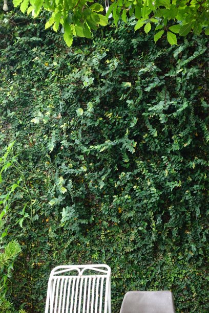 性质详情图片下载