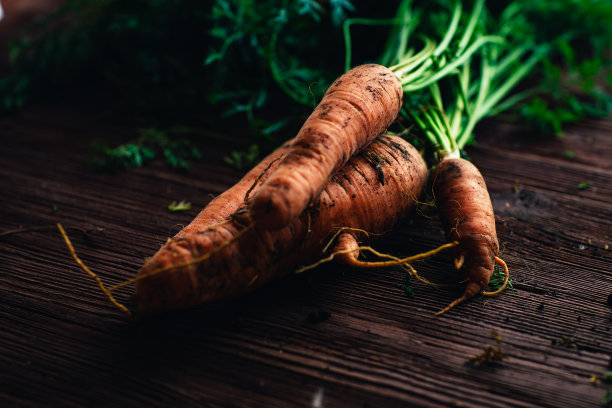 木背景上的新鲜胡萝卜特写图片下载