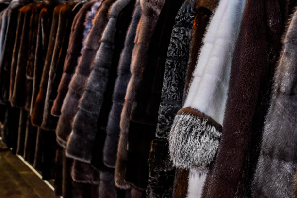 毛皮大衣挂在衣架上。皮草店。皮衣排成一行图片下载
