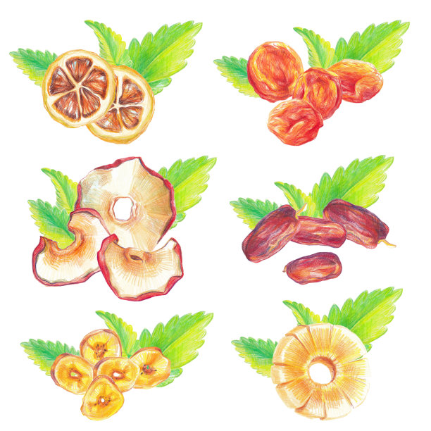 干果和叶集图片下载