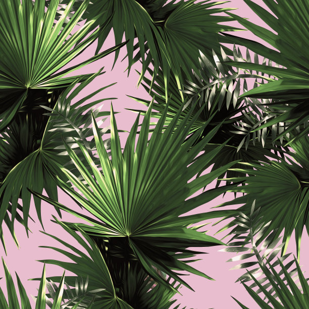 热带无缝模式。图片下载