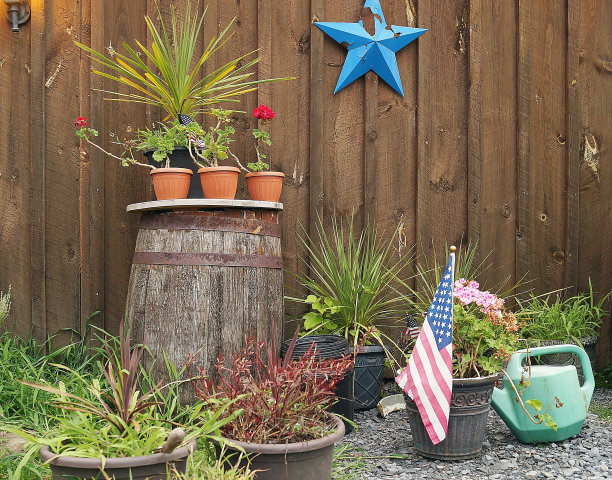 垃圾场的花园图片下载