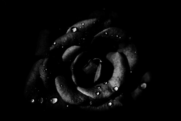 黑白照片图片下载