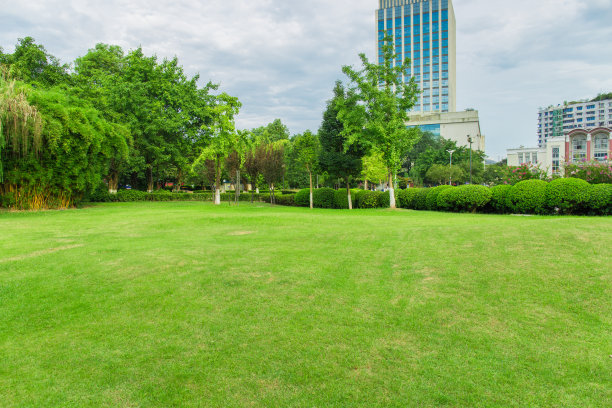 日落时分的城市公园图片下载