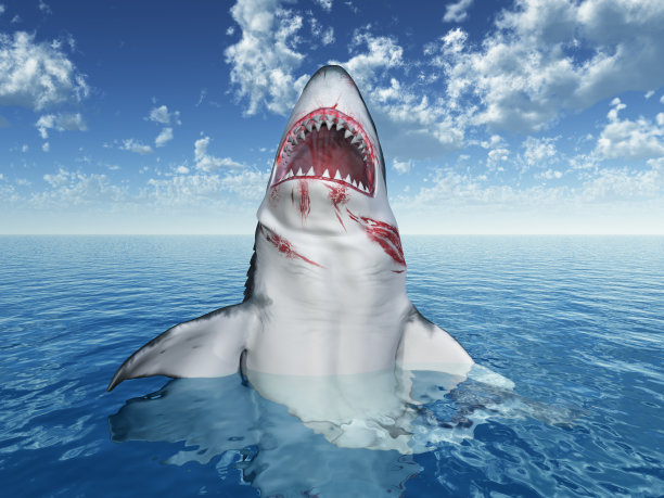 大白鲨跃出水面图片下载