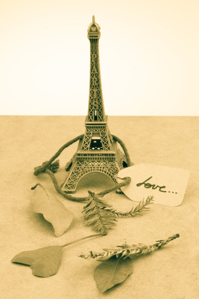 棕色背景下的埃菲尔铁塔和枯叶图片下载