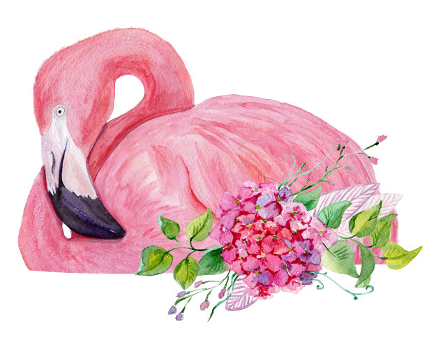 水彩粉红色火烈鸟和热带花朵。图片下载