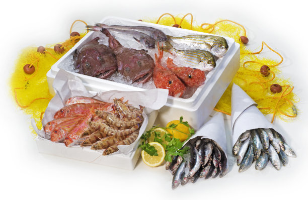 新鲜的鱼图片下载