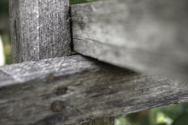 木结的特写图片下载