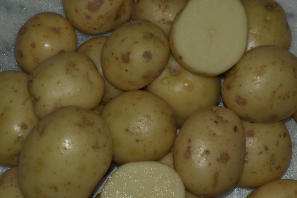 白土豆图片下载