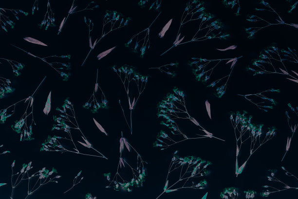 暗色倒立花平铺图案图片下载