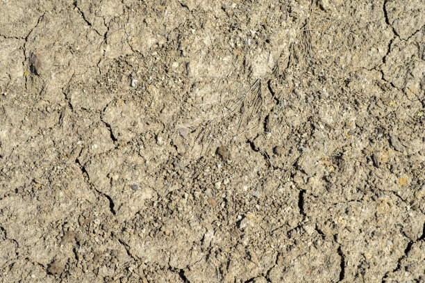 这是一片完全没有植被的脱水土地。背景图片下载