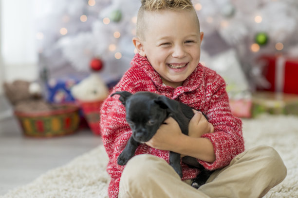 带着小狗的微笑男孩图片下载