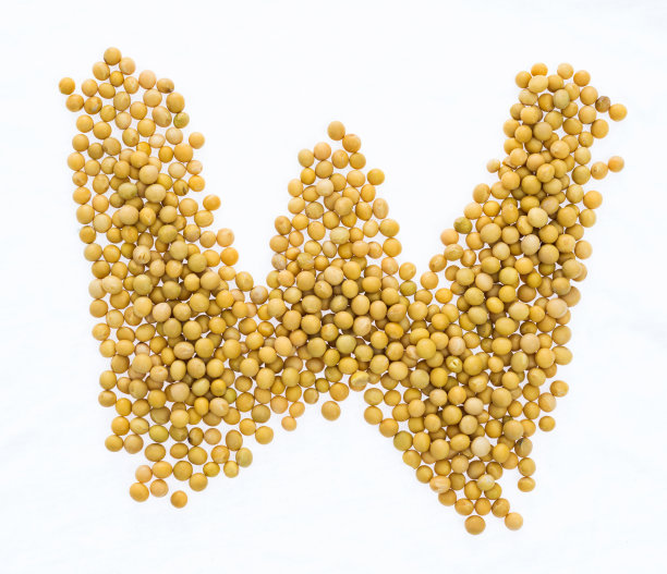 字母W由大豆制成图片下载
