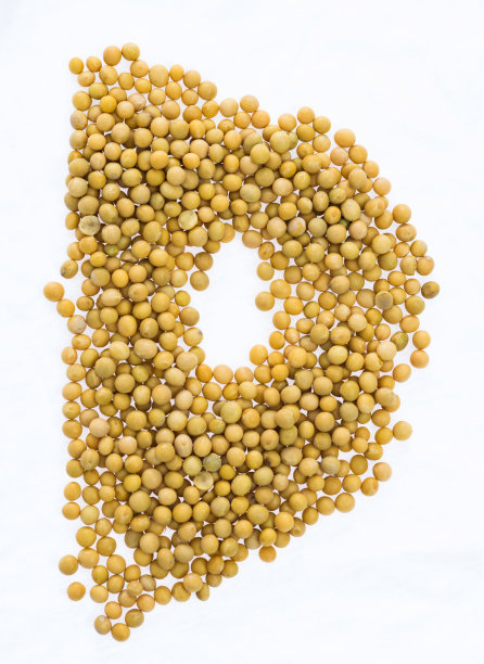 字母D由大豆制成图片下载