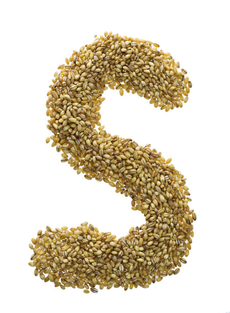 由小麦谷物制成的字母S图片下载