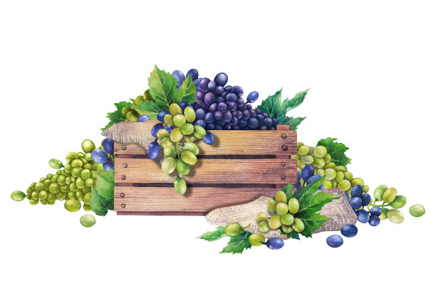 葡萄叶装饰的水彩木盒图片下载